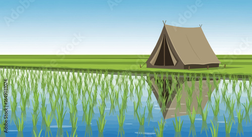 Peaceful Camping Adventure Beside Green Rice Fields Under Blue Sky