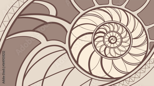 Golden ratio nautilus shell spiral pattern. Geometric art deco design background. Nature, science, vintage illustration.