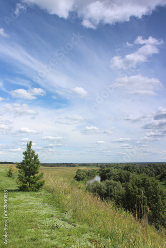 Summer landscape. Pine tree on the bank, small river and blue sky with clouds.