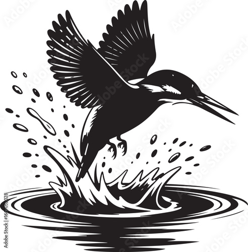 Graceful kingfisher dives into water, catching prey