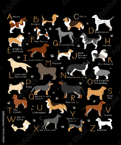 Dog back to school design for teacher and students who love dogs and surprise your classroom in your first day of school, Perfect Gift Idea for Boys Girls Teachers dog lovers, and owners to celebrate 