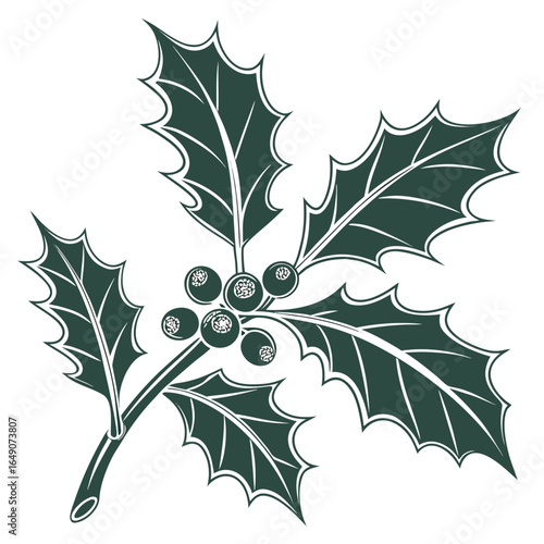 Single Holly Leaf with a Matte Flat Appearance