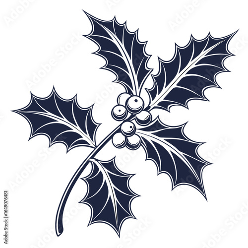 Single Holly Leaf with a Shadow and Dark Silhouette