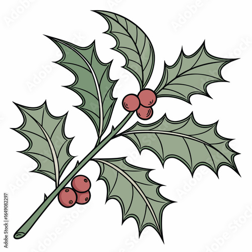 Single Holly Leaf with Transparency and a See-Through Effect