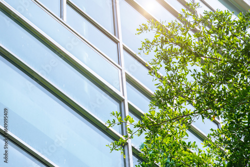 Photography Eco building or Green office windows with garden plant tree and park nature in modern city concept