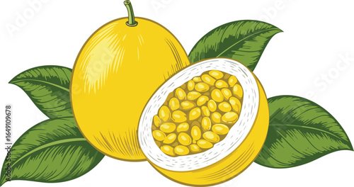 passion fruit isolated on transparent png vector.fruit, passion, nourishment, isolated, healthy, juicy, tropical, vitamin, food, fresh, natural, organic, ripe, sweet, colourful, favor, health, 