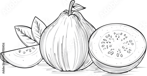 guava isolated on transparent png.vector.isolated, cut, green, guava, healthy, nature, tropical, background, diet, food, fresh, fruit, organic, raw, ripe, sweet, vegetarian, half, 