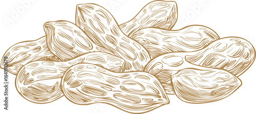 peanuts isolated on transparent png.vector.nut, peanut, brown, food, snack, clipping path, tan, cut out, flying, beige, color image, design element,