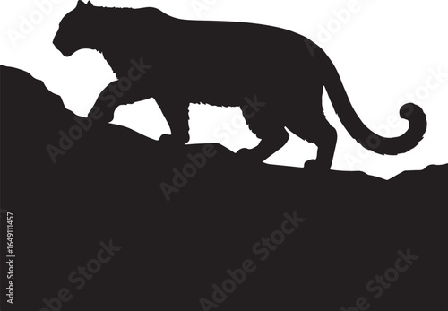 Powerful panther silhouette stalking through rocky terrain