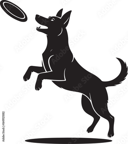 Playful dog leaps catching frisbee in mid-air