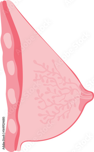 Illustrative image of breast collostrum