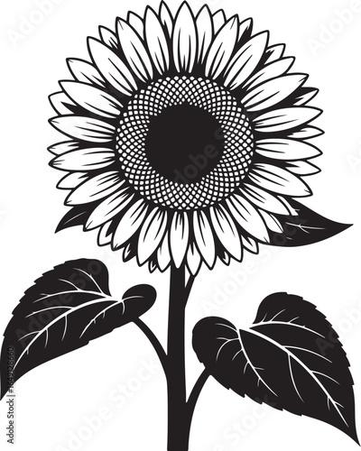 Bold sunflower silhouette brings natural elegance to designs