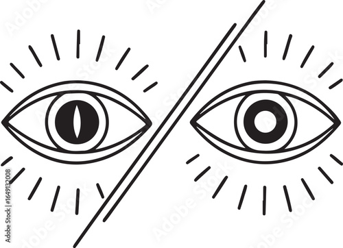 Duality Eyes Vision and Perception