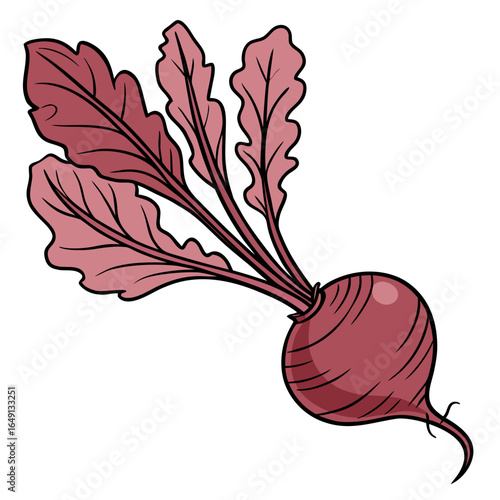 Stylized cartoon beetroot illustration with leaves. Fresh root vegetable representing organic farming, healthy diet, and wholesome nutrition.