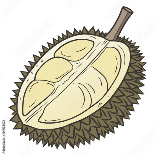 A hand-drawn vector illustration of a ripe tropical durian fruit, cut in half to show the fleshy pulp inside its spiky shell.