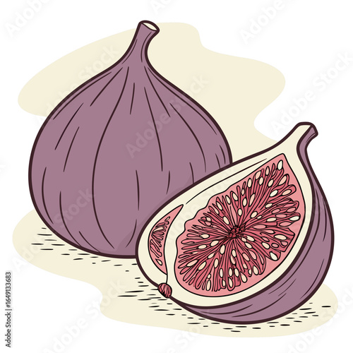 Fresh Figs Illustration of Whole and Halved Figs