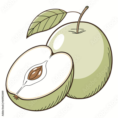 Artistic sketch of a healthy green apple fruit. A whole apple and a cross-section half with seeds, isolated on a white background.