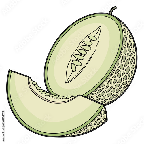 Fresh Cantaloupe A Vector Illustration of Sliced Melon with a Sweet and Juicy Appearance.