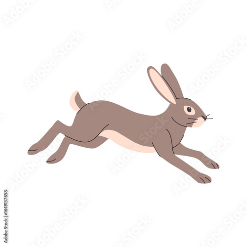 Flat illustration of a running rabbit in motion, shown in side view. Features long ears, brown fur with a light underbelly, and dynamic pose. Ideal for childrens books, wildlife themes, and nature