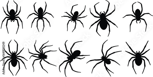 Set of spider silhouettes, black vector illustration of creepy insects, isolated arachnids for Halloween, horror design, scary decoration, pest or nature concept