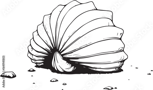 Seashell: A detailed illustration of a large, textured seashell, resting on a sandy surface with a few pebbles, perfect for marine life projects. 