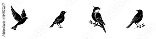 Various bird silhouettes showcasing different postures and characteristics in a minimalistic black and white design