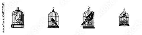 Decorative birdcages displayed in a row, showcasing intricate designs and various bird illustrations