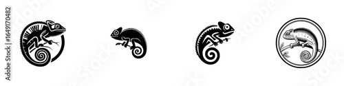 Chameleons displayed in various poses and designs in a modern, minimalist style