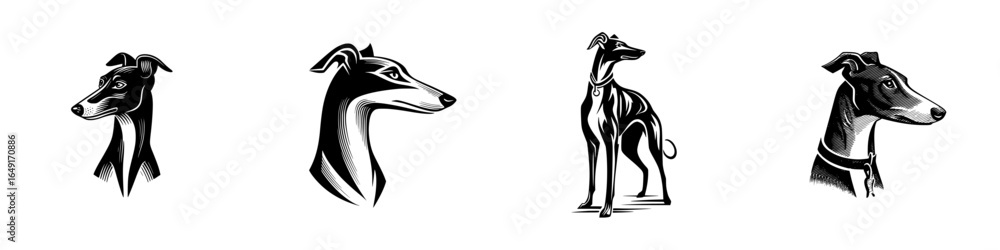Obraz premium Elegant illustrations of greyhounds showcasing their grace and beauty in various poses and styles