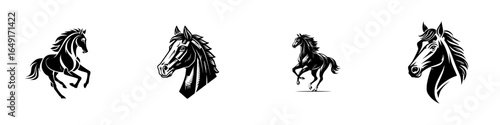 Four distinct black-and-white horse illustrations showcasing different poses and styles from a side and frontal view in a clean layout