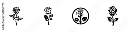 Elegant black and white rose designs showcasing floral artistry in various styles for decoration and inspiration