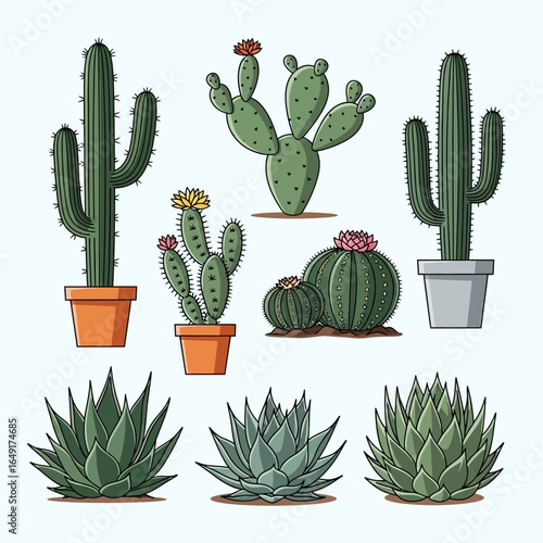 Collection of diverse cacti and succulents in pots, showcasing various shapes, sizes, and flowering stages.