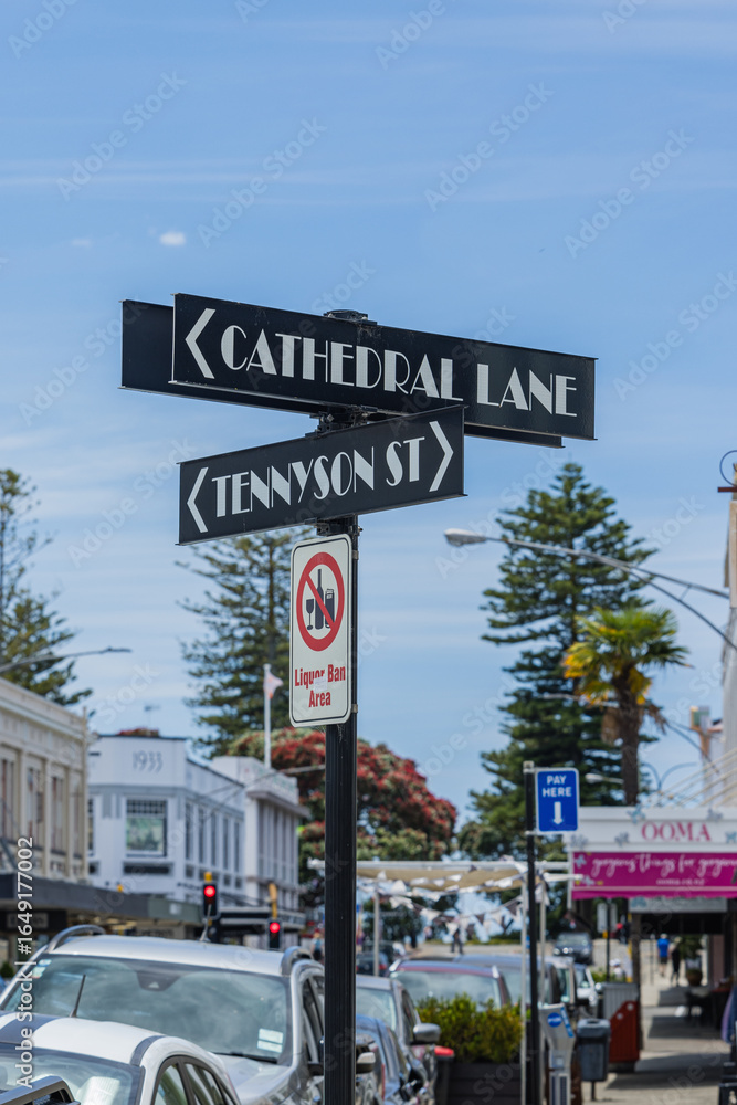 Naklejka premium ニュージーランド ホークスベイ地方のネイピアのアール・デコの街並み