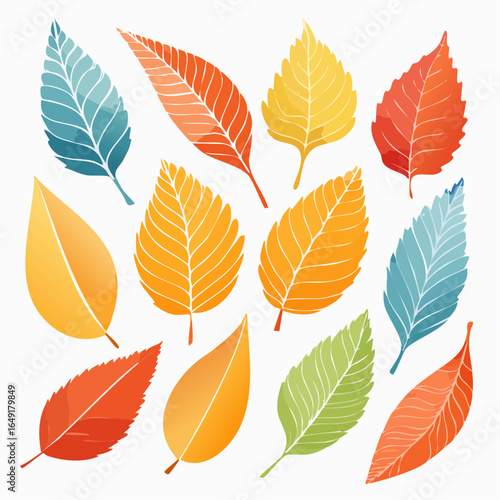 Autumn leaves collection