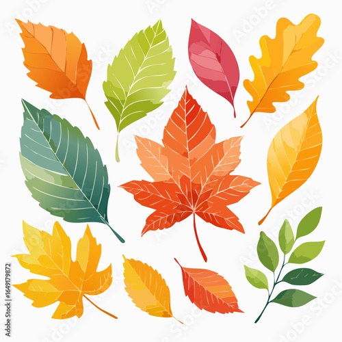 Autumn leaves vector illustration