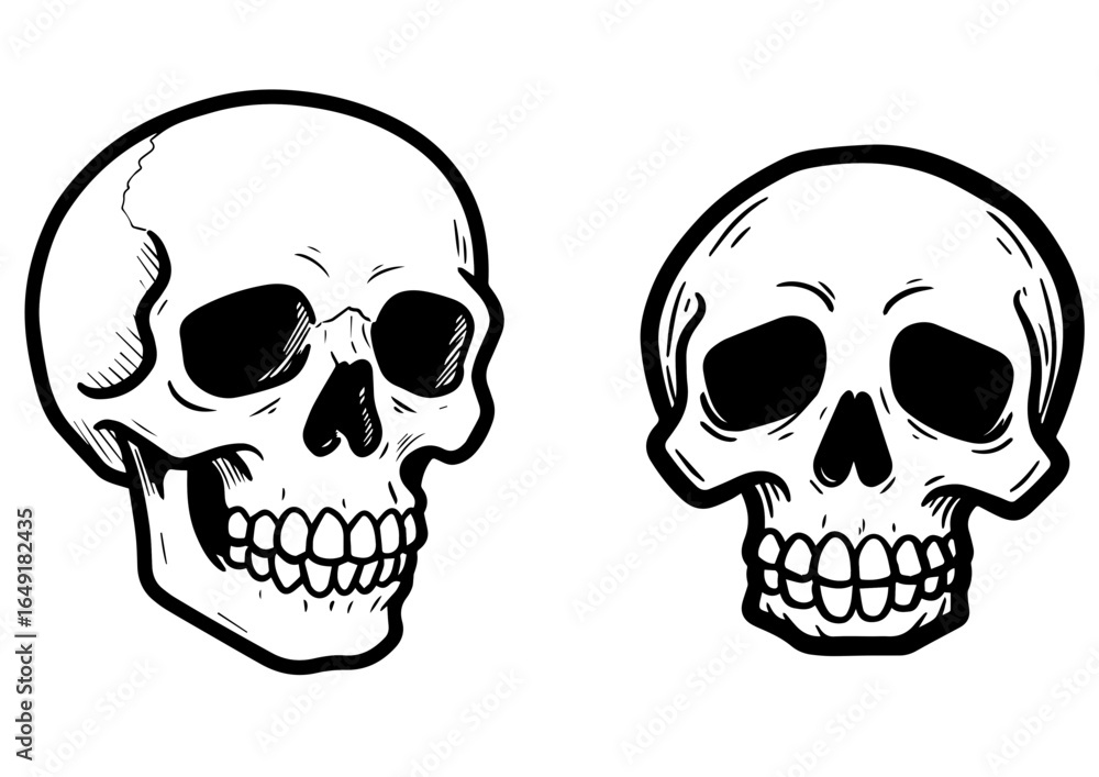 Fototapeta premium Two detailed skull illustrations in black and white style set