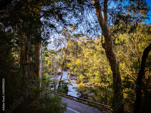 Fotografía Yarra River View in Warburton Australia