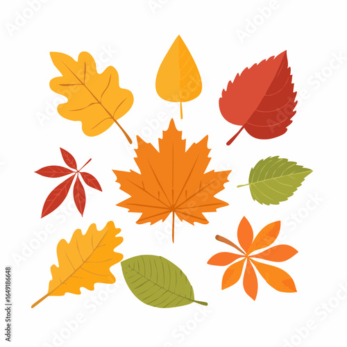 Autumn leaves collection