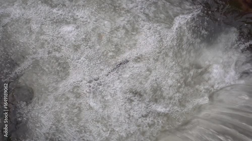 The swift, clear flow of the mountain river flows between rocks, churning with captivating white foam. The sound of the rushing air creates a calming and refreshing natural atmosphere.