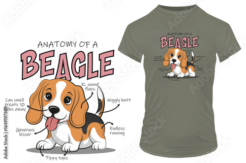 Anatomy of a Cute beagle dog. Vector illustration