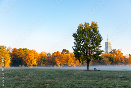 autumn foggy morning in warsaw park at dawn