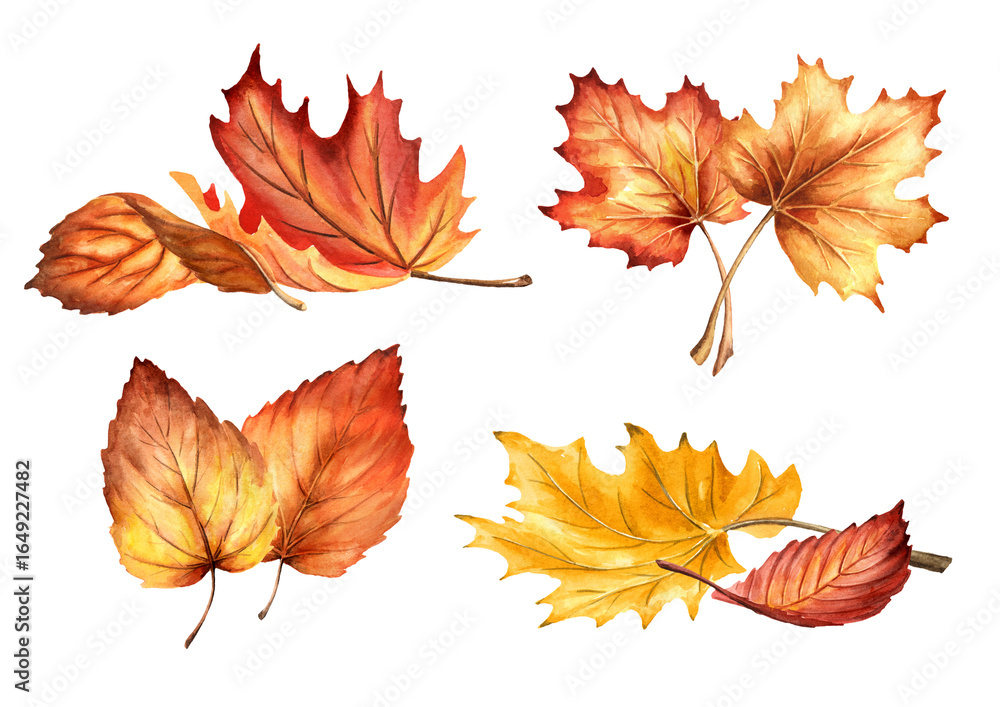 Fototapeta premium Autumn colorful leaves set. Hand-drawn watercolor illustration, isolated on white background