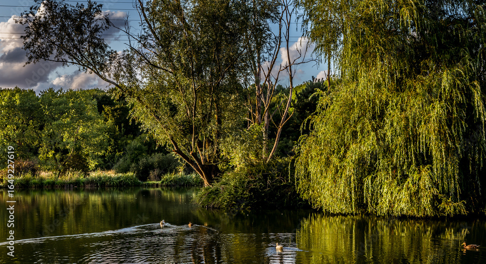 Fototapeta premium Sunset on a pond in Santeny, france