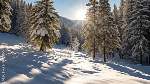 Wallpaper Mural snowy forest,scenic winter landscape,pine trees covered in snow,sunlight filtering through trees,peaceful winter scene,idyllic winter wonderland,serene snow-covered forest,tranquil mountain landscape, Torontodigital.ca