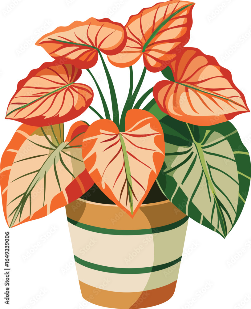 Obraz premium Begonia in patterned pot