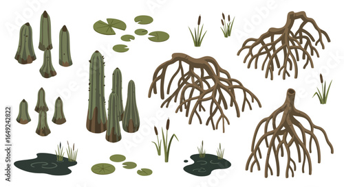 Isometric Detailed Swamp Environment Elements Vector Illustration Set, Cypress Knees, Mangrove Roots, Water Lilies, Cattails, Mud Puddles, Aquatic Plants, Game Design, Nature Scene