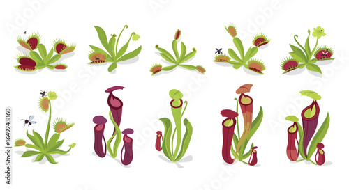 Diverse Cartoon Carnivorous Plants Vector Illustration Set, Venus Flytrap, Pitcher Plant, Insectivorous, Traps, Nature, Botany, Exotic