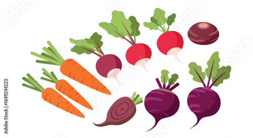 Vibrant Healthy Organic Root Vegetables Flat Icon Set, Carrots, Radishes, Beetroots, Vegan, Fresh Produce, Gardening, Harvest, Nutrition, Healthy Eating, Farm, Ingredients