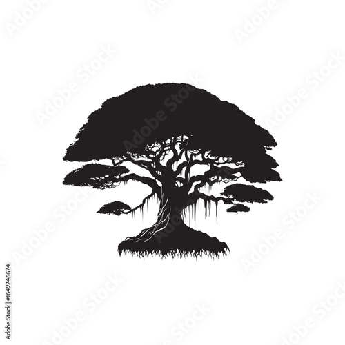 Tableau sur toile Banyan Tree Silhouette in Black on White Background.
