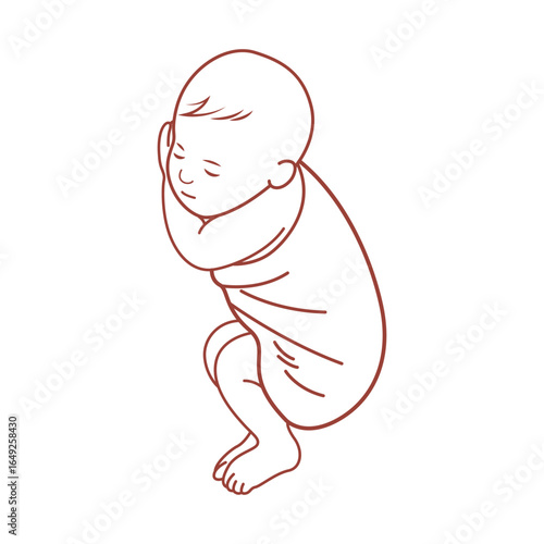 Minimalist Line Art of Sleeping Baby in Fetal Position